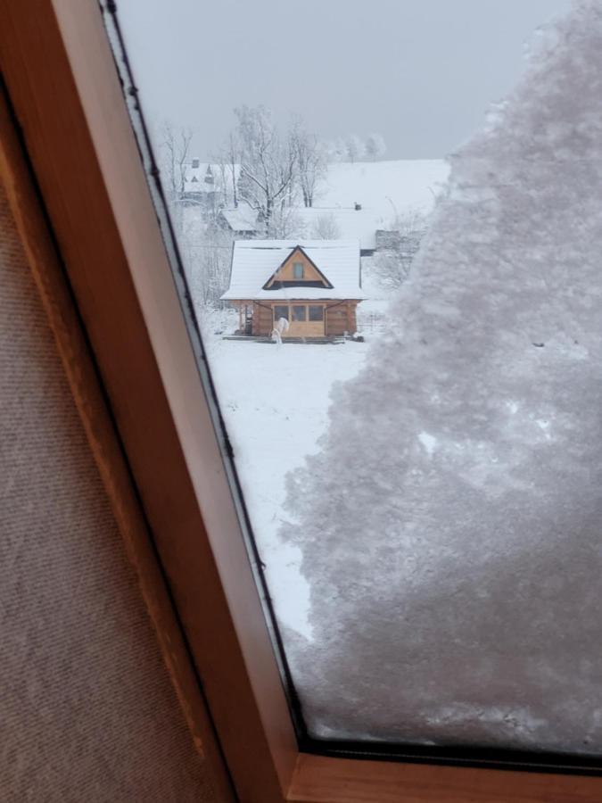 Podhalanka Pokoje Zakopane Zewnętrze zdjęcie